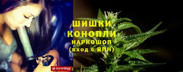 стаф Красноперекопск