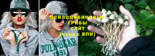 стаф Красноперекопск