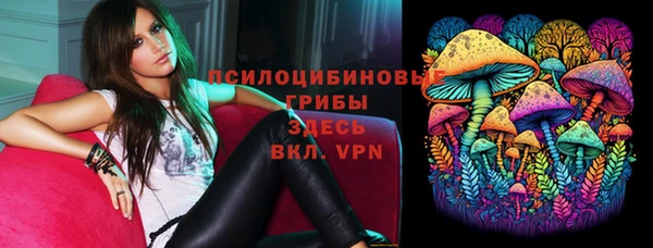 бутират Кукмор