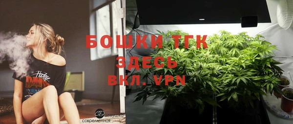 молекула духа Краснослободск