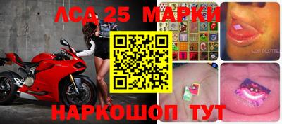 спиды Шахты