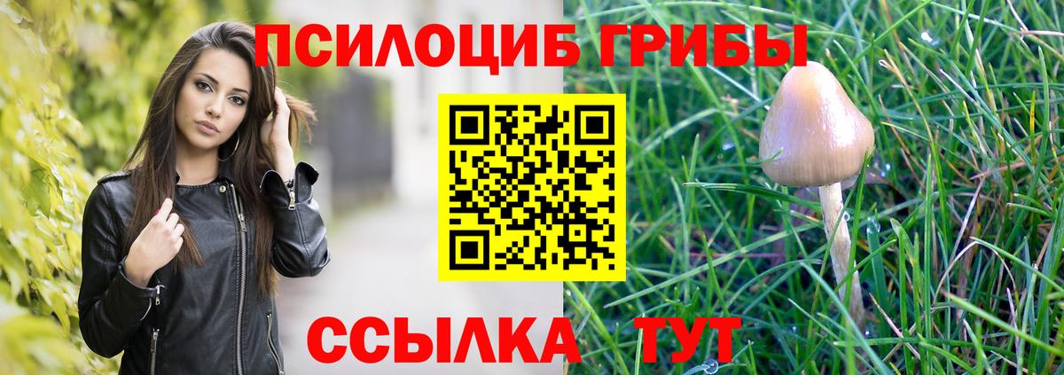 Псилоцибиновые грибы прущие грибы  Вход с VPN  Лобня 